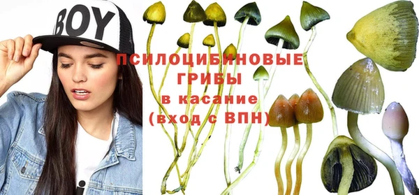 спиды Баксан